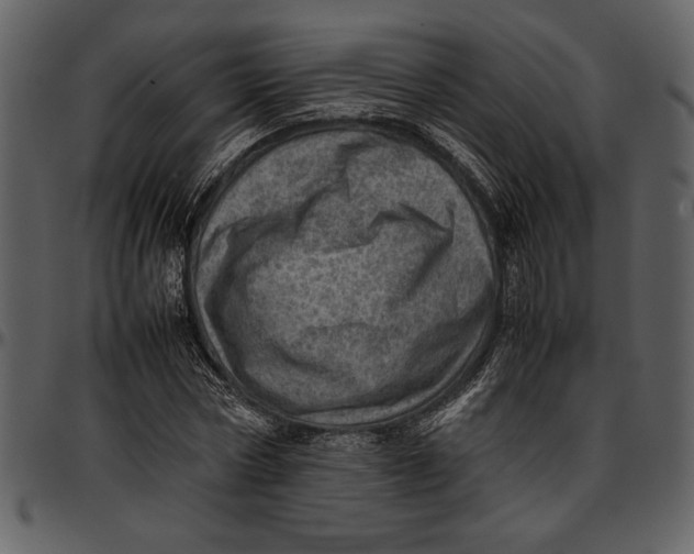 X0000096940778200802291032