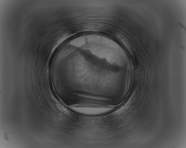 X0000096940779200802291032