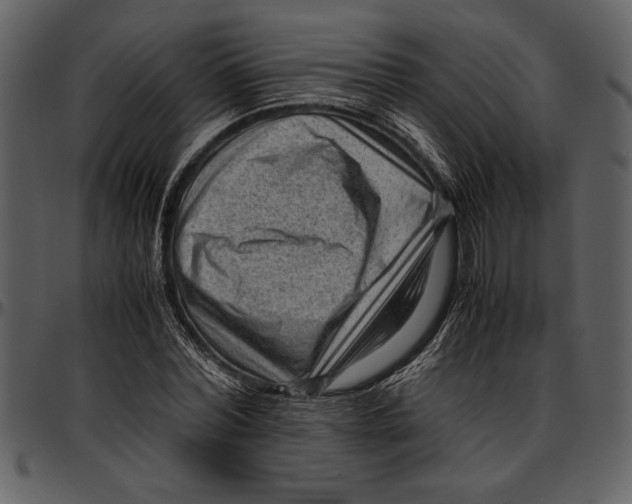 X0000096940780200802291032