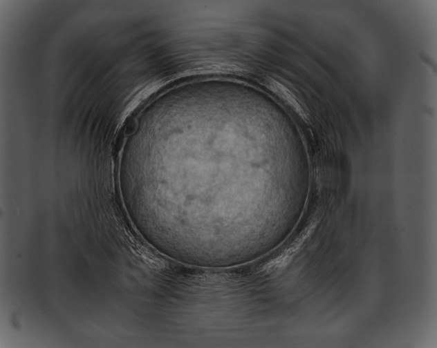 X0000096940781200802291032