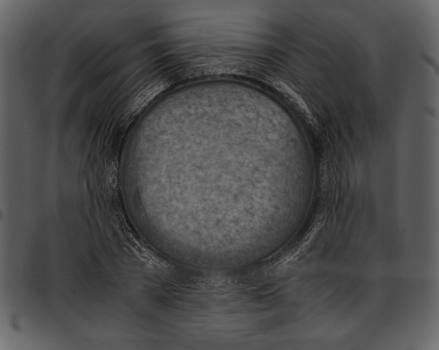 X0000096940785200802291032