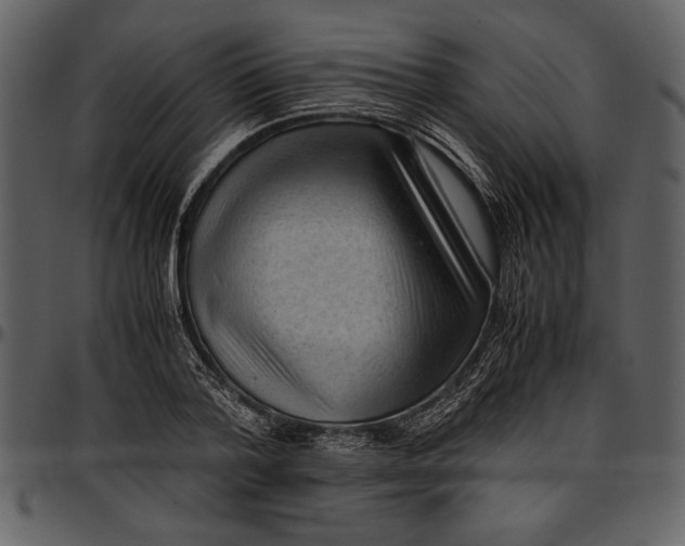 X0000096940788200802291032