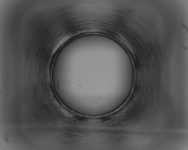 X0000096940789200802291032