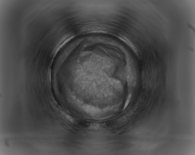 X0000096940790200802291032