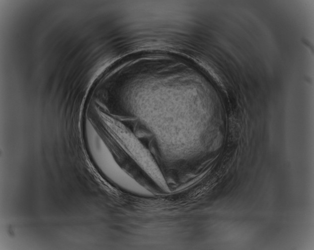 X0000096940791200802291032