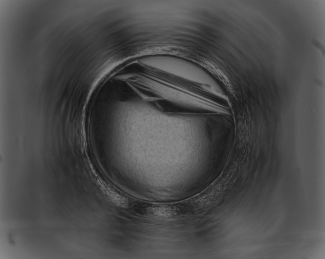 X0000096940792200802291032