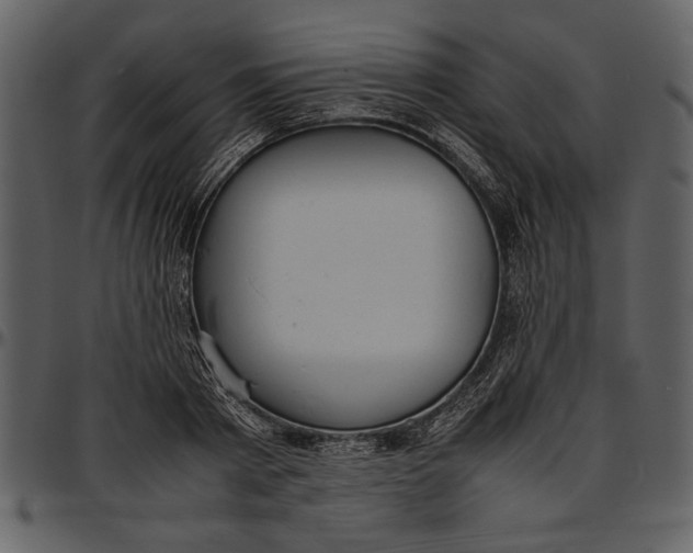 X0000096940793200802291032