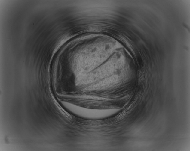 X0000096940795200802291032