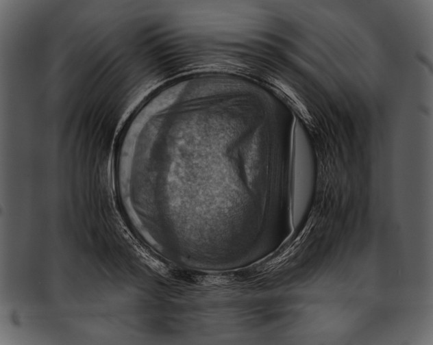 X0000096940796200802291032