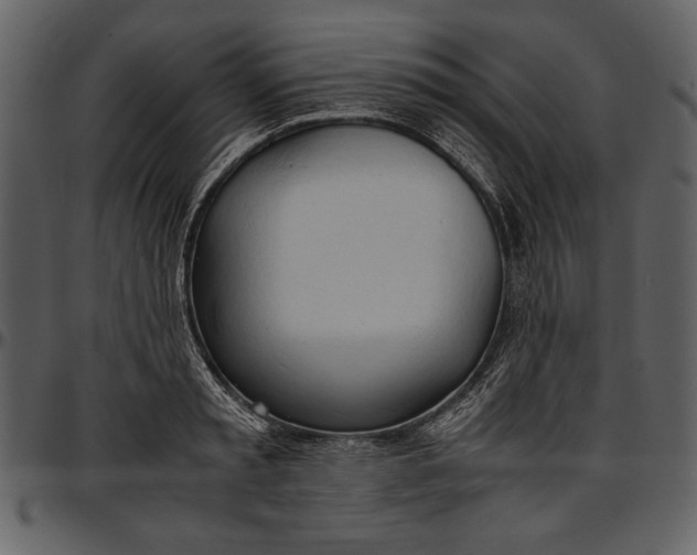 X0000096940797200802291032