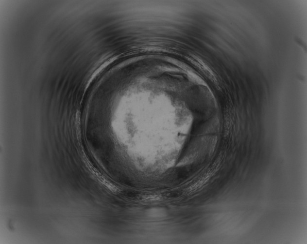 X0000096940798200802291032