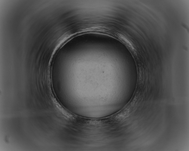 X0000096940800200802291031