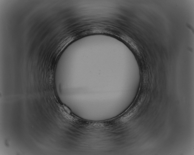 X0000096940801200802291031