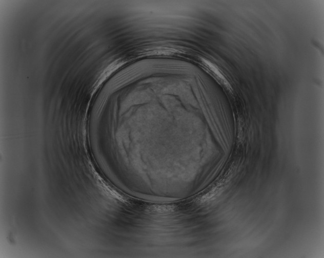 X0000096940802200802291031