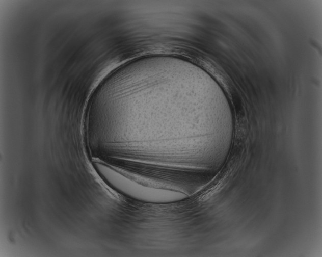 X0000096940803200802291031