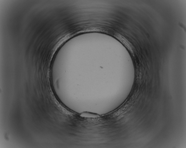 X0000096940805200802291031