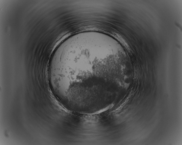 X0000096940806200802291031