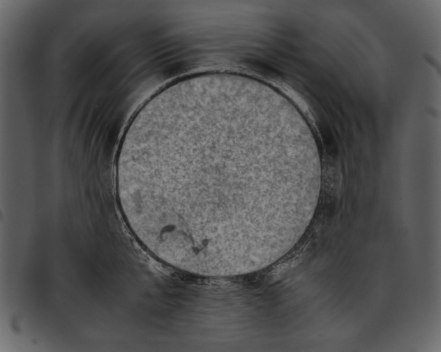 X0000096940807200802291031