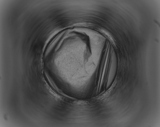 X0000096940808200802291031