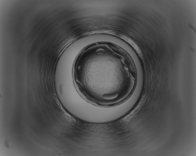 X0000096940809200802291031