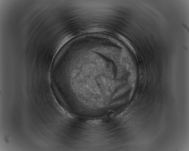 X0000096940810200802291031