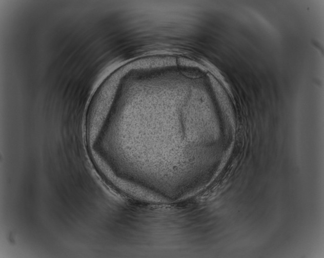 X0000096940811200802291031