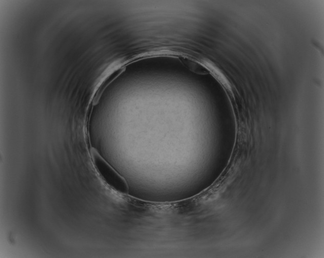 X0000096940813200802291031