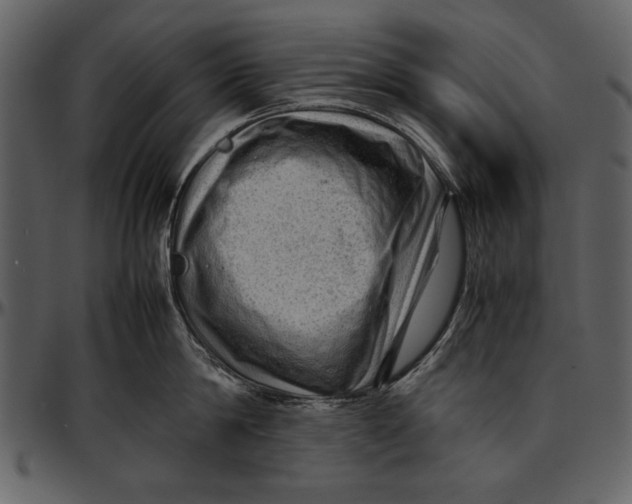 X0000096940814200802291031