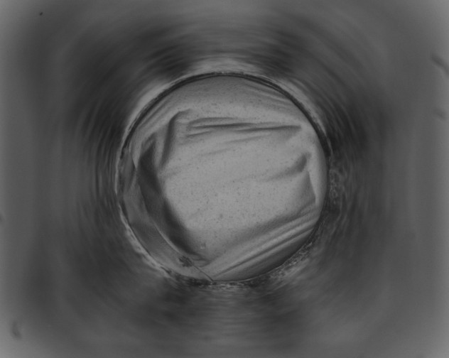 X0000096940815200802291031