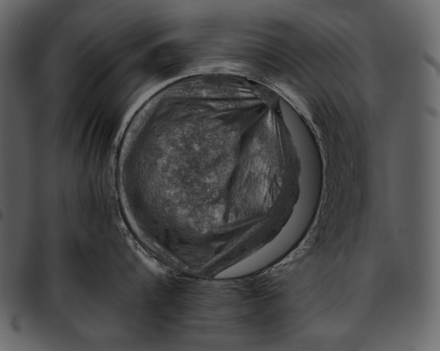 X0000096940816200802291031