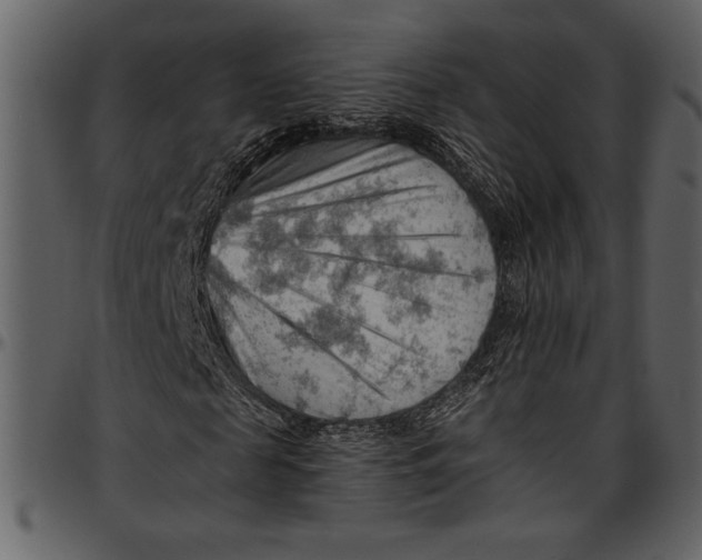 X0000096940817200802291030