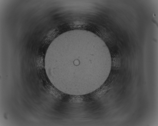 X0000096940820200802291030