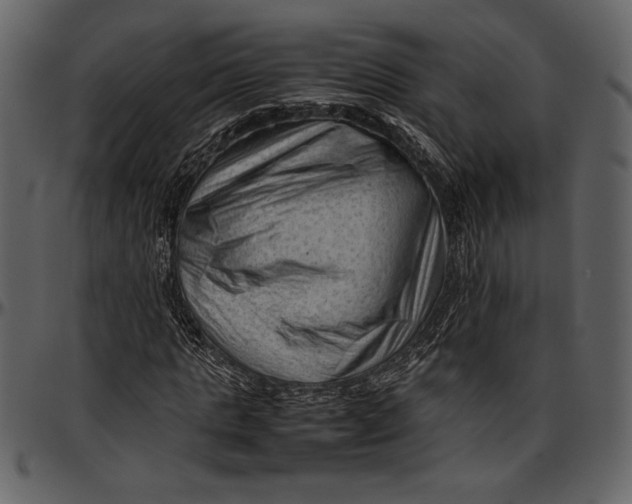 X0000096940821200802291030