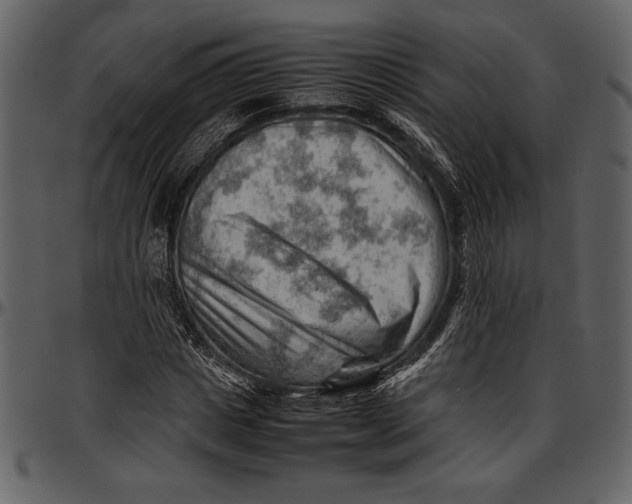 X0000096940825200802291030