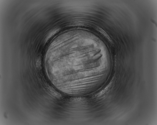 X0000096940826200802291030