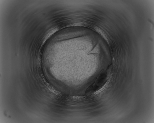 X0000096940827200802291030