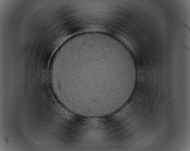 X0000096940828200802291030