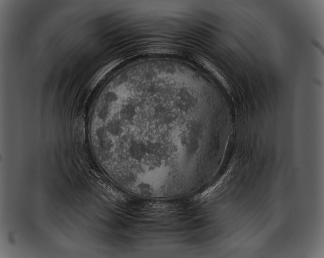 X0000096940829200802291030