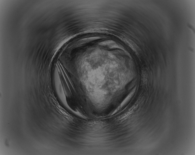 X0000096940830200802291030