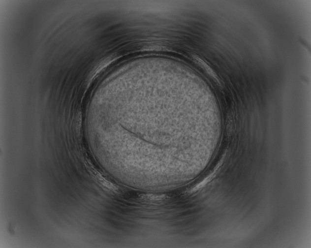 X0000096940831200802291030