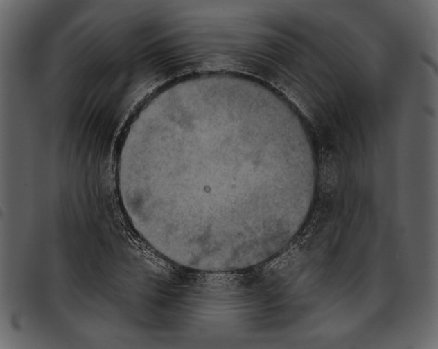 X0000096940832200802291031