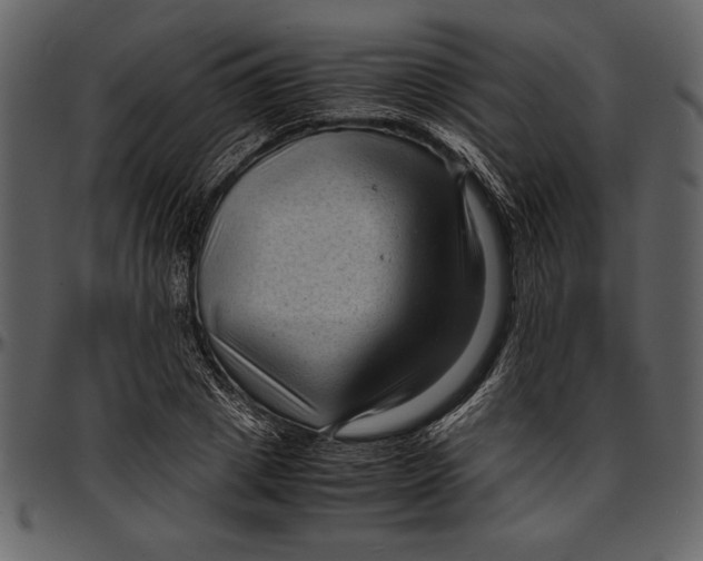 X0000096940833200802291031