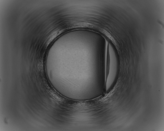 X0000096940834200802291031