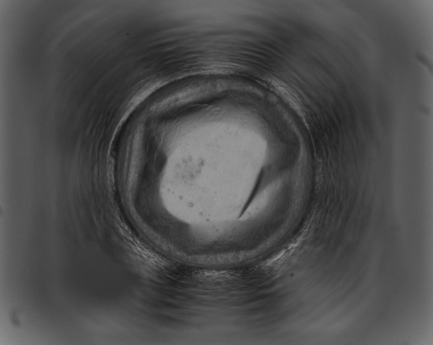 X0000096940835200802291031