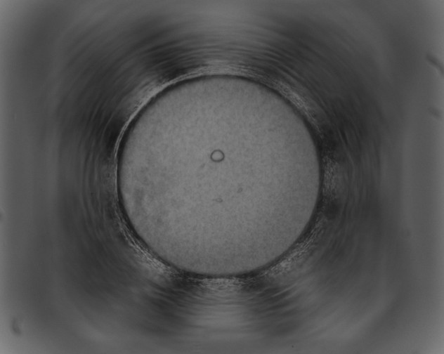 X0000096940836200802291031