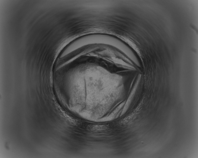 X0000096940839200802291031