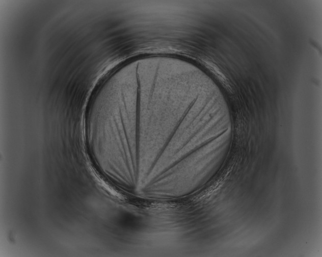 X0000096940840200802291031