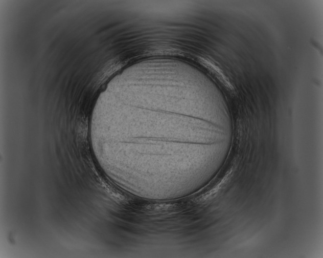 X0000096940841200802291031