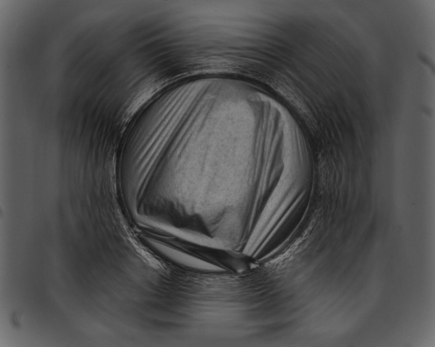 X0000096940842200802291031