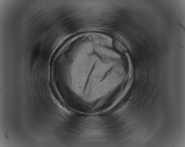 X0000096940844200802291031